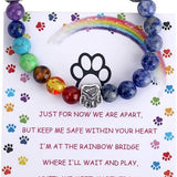 Doresa™ | Atmiņas aproce Rainbow Bridge